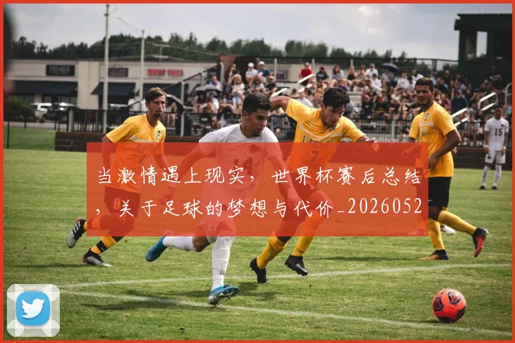 当激情遇上现实，世界杯赛后总结，关于足球的梦想与代价_20260526074236