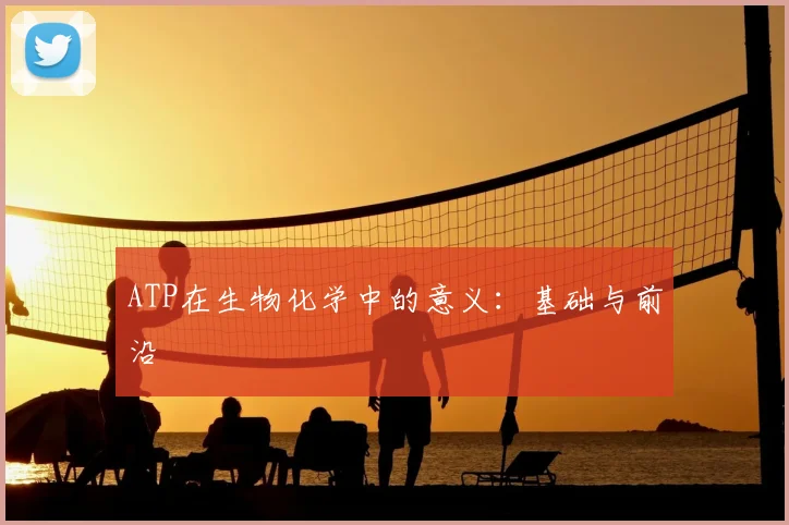 ATP在生物化学中的意义：基础与前沿