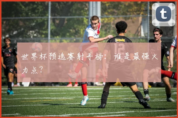 世界杯预选赛射手榜:谁是最强火力点?