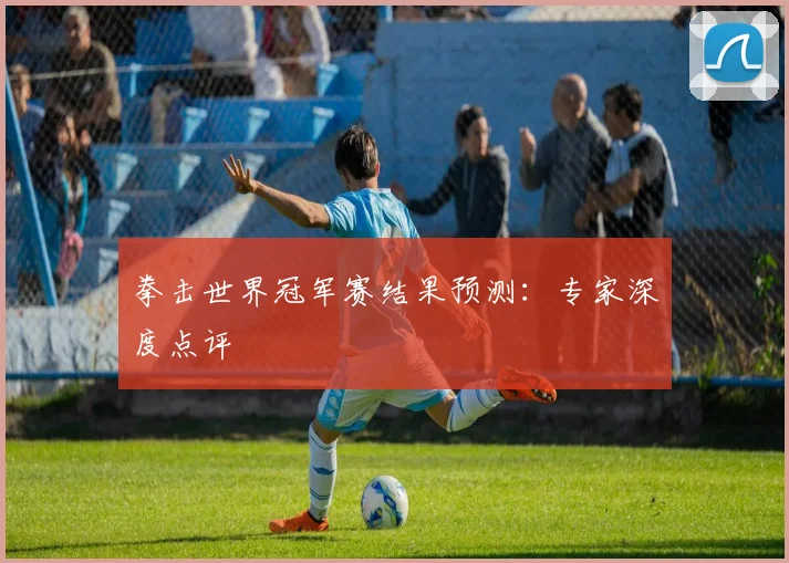 拳击世界冠军赛结果预测：专家深度点评