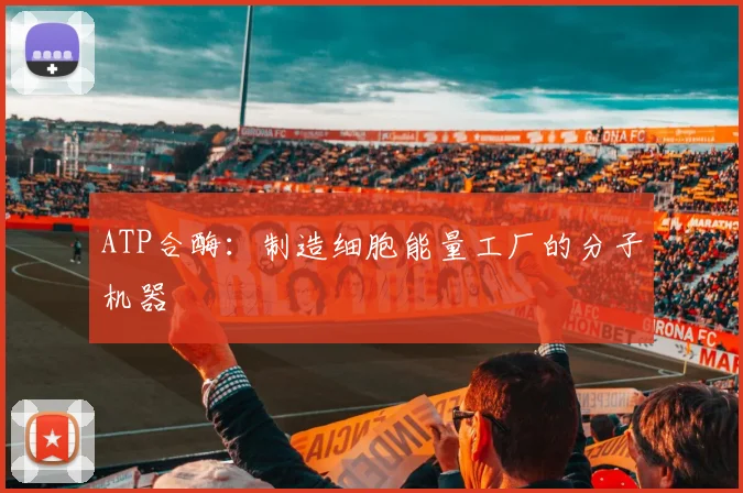 ATP合酶：制造细胞能量工厂的分子机器