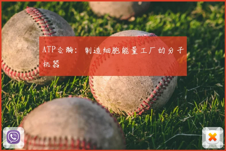 ATP合酶：制造细胞能量工厂的分子机器